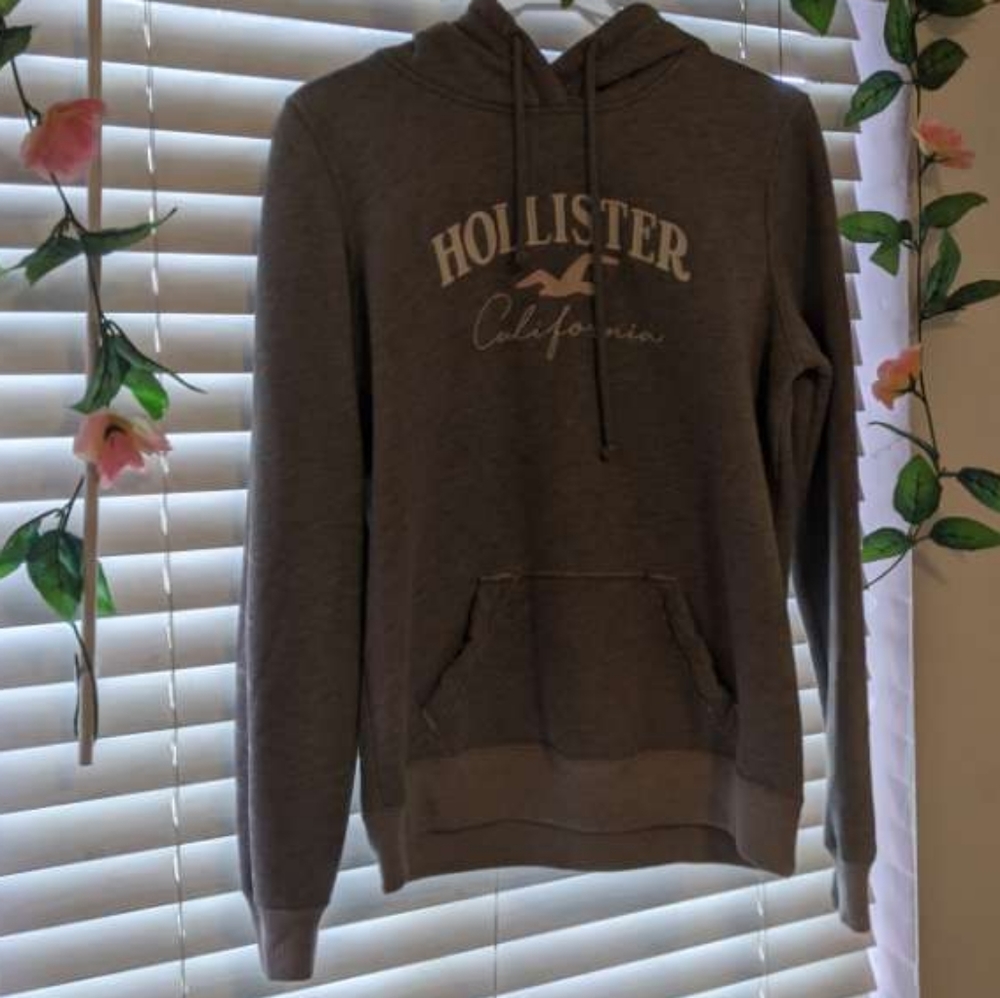 Hollister Hoodie
